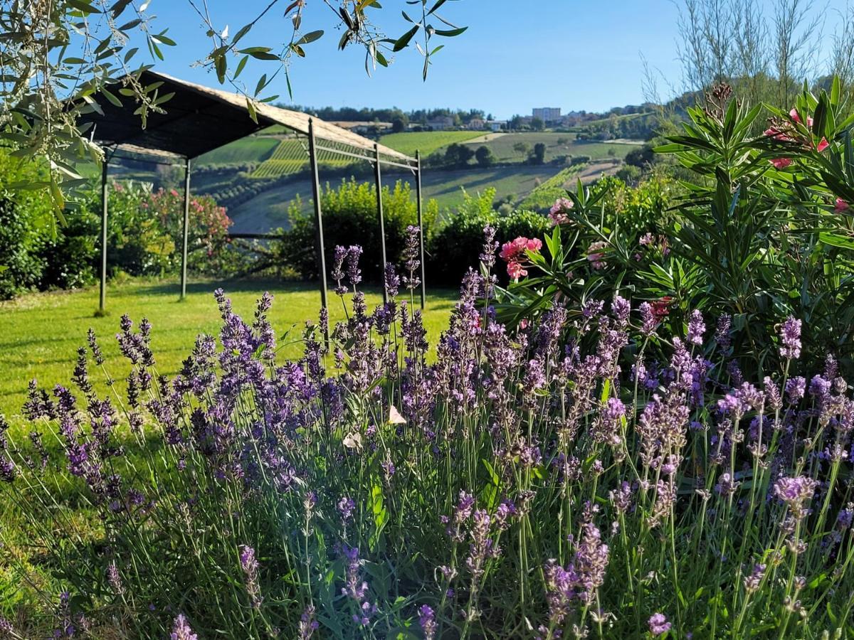 Agriturismo Fiorano Villa Cossignano Esterno foto