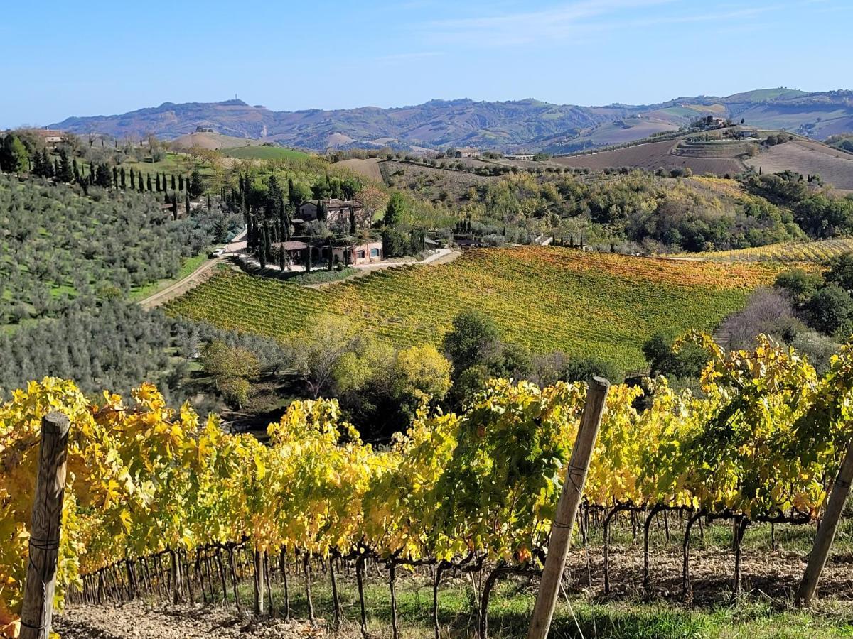Agriturismo Fiorano Cossignano Esterno foto