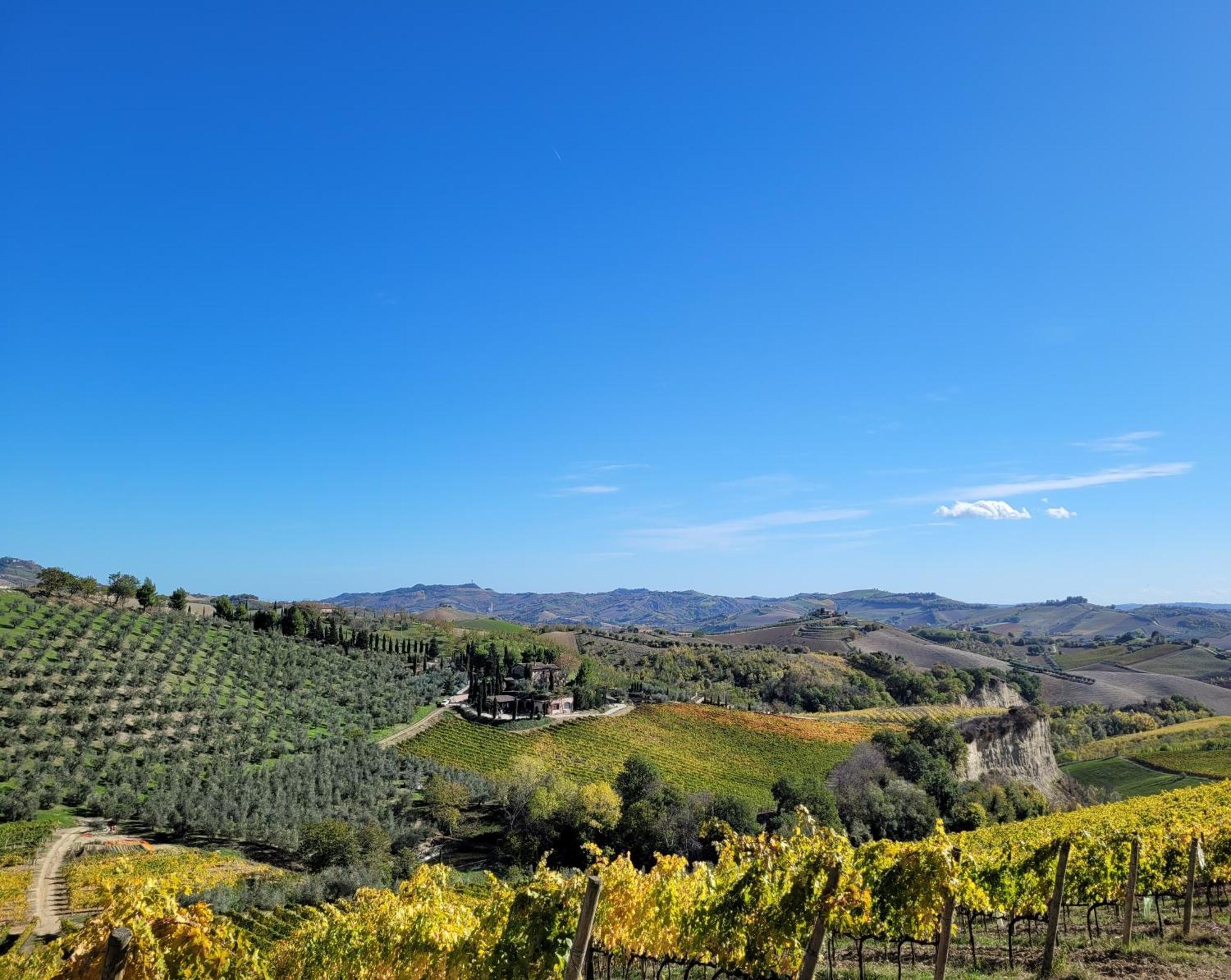 Agriturismo Fiorano Cossignano Esterno foto