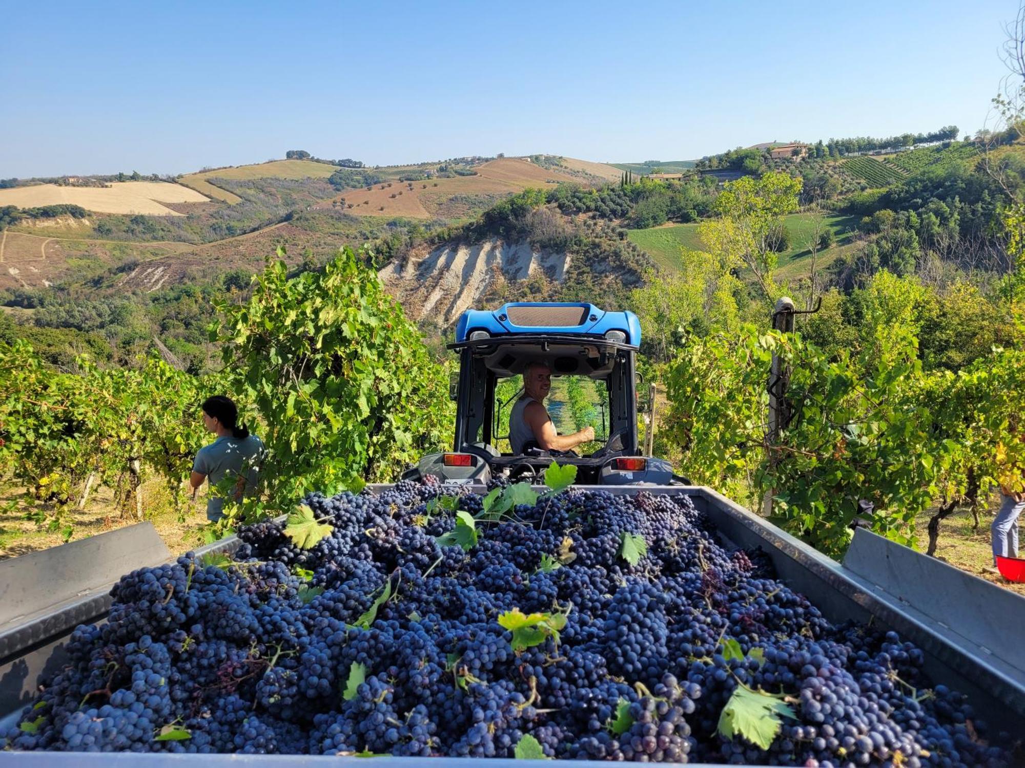 Agriturismo Fiorano Cossignano Esterno foto