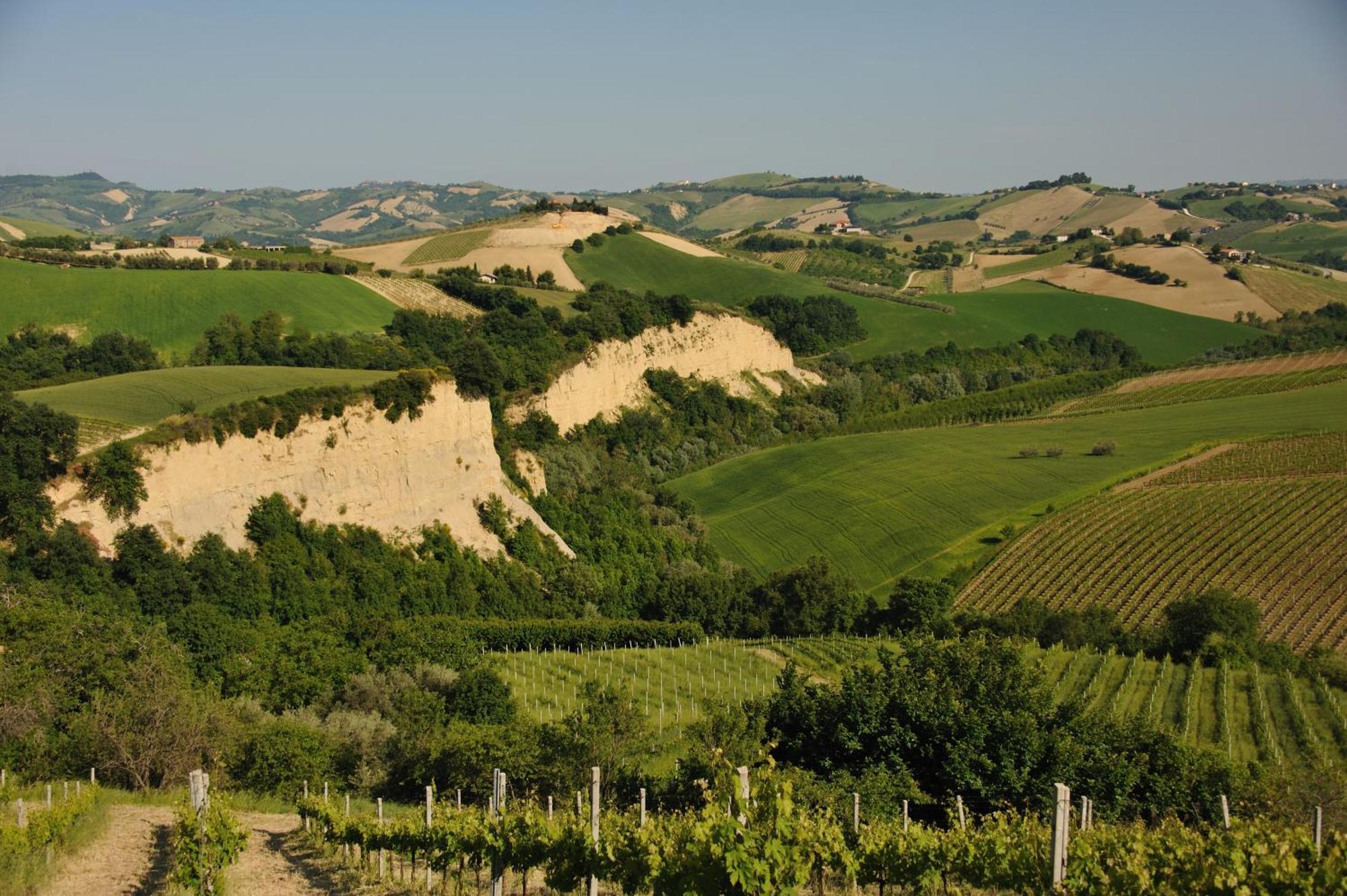 Agriturismo Fiorano Cossignano Esterno foto
