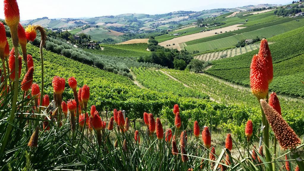 Agriturismo Fiorano Cossignano Esterno foto