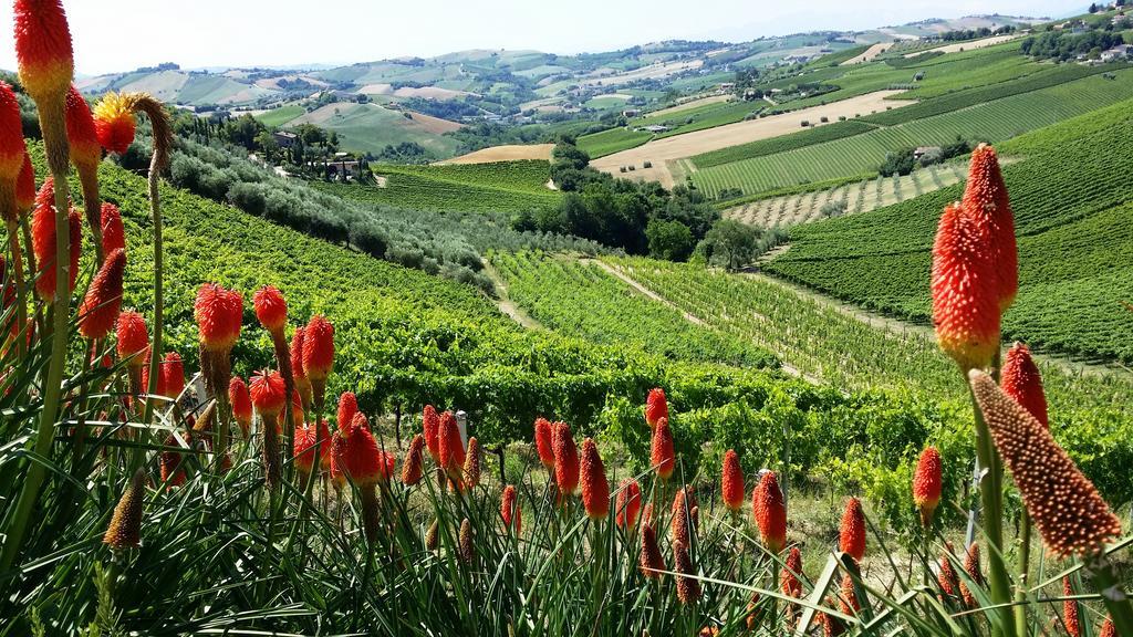 Agriturismo Fiorano Villa Cossignano Esterno foto